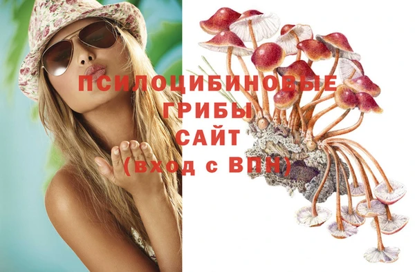 каннабис Алексин