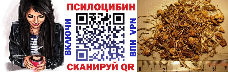 Псилоцибиновые грибы Magic Shrooms  где купить   Богородск 